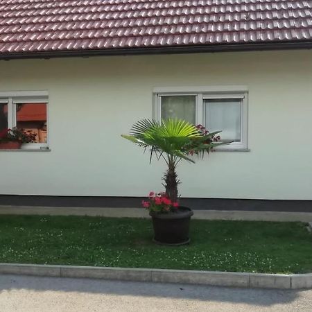 Apartman Luce Otočac 外观 照片